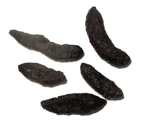 cacca di topo